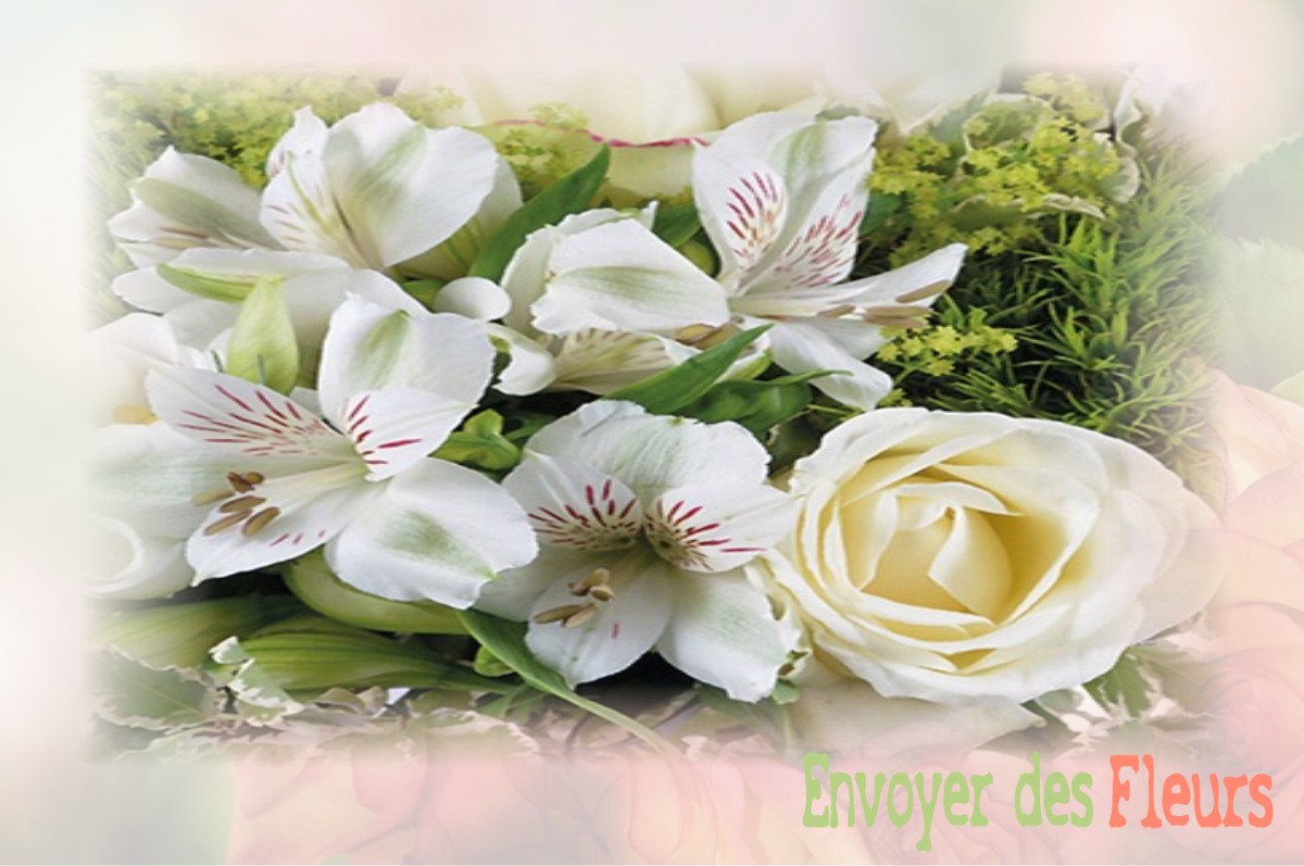 envoyer des fleurs à à SAINT-HILAIRE-PETITVILLE